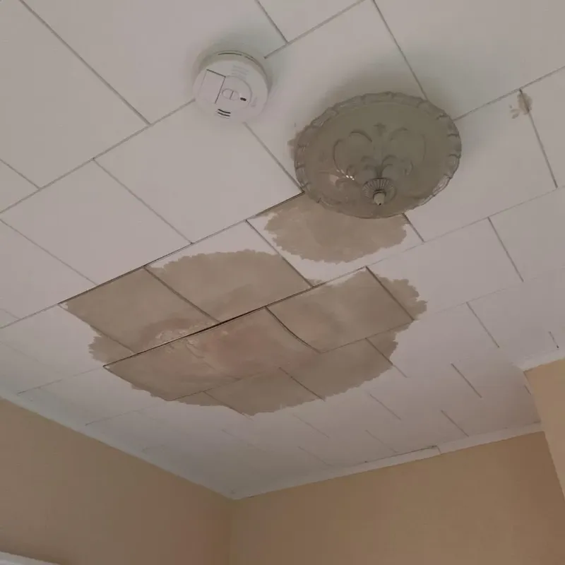 Ceiling Water Damage Repair in Big Beaver, PA