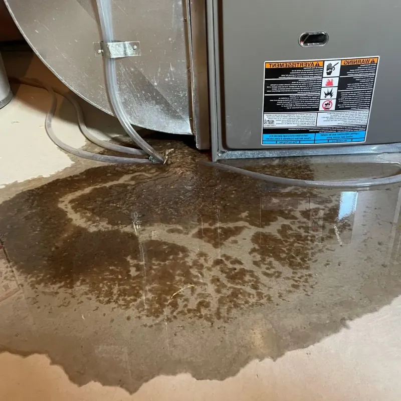 Pipe Burst and Leak Restoration in Big Beaver, PA