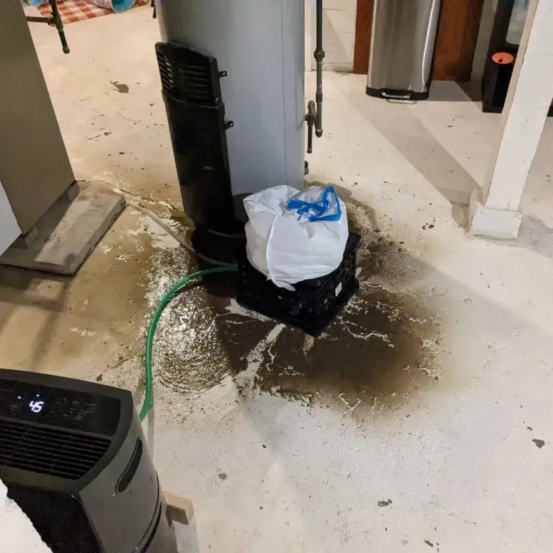 Sewage Backup Cleanup Service in Big Beaver, PA